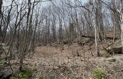 Ch. Forest Hill, Saint-Adolphe-d'Howard, Quebec J0T2B0