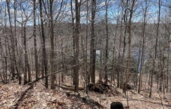 Ch. du Lac-Gustave, Wentworth-Nord, QC J0T1Y0, CA, Wentworth-Nord, Quebec J0T1Y0