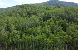 Ch. du Friche , Clermont, QC G4A1E9, CA, Clermont, Quebec G4A1E9