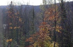 Av. du Lac-à-Lunettes, Chertsey, QC J0K3K0, CA, Chertsey, Quebec J0K3K0