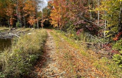 8e Rang E., Saint-Calixte, Quebec J0K1Z0