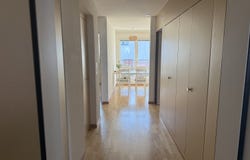 Zürich, Zürich (canton) 8002