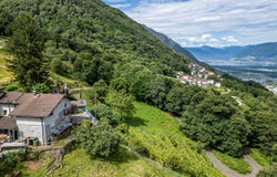 Cadenazzo-Robasacco, Robasacco, Ticino 6599