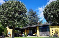 Pura, Ticino 6984