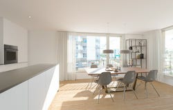 Lörracherstrasse 162, Riehen, Basel-Stadt (canton) 4125