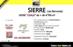 Sierre, Valais 3960