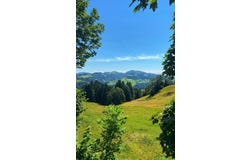 Ghöchstrasse, Gibswil-Ried, Zürich (canton) 8498