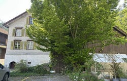 Sennereigass 572, Sevelen, St. Gallen (canton) 9475