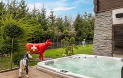 Dans un quartier paisible de la commune de St-George, St-George, Vaud 1188