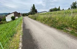 Götzen, Rafz, Zürich (canton) 8197