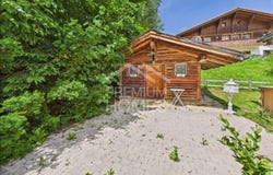Gstaad, Gstaad, Bern (canton) 3780