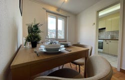 Schaffhausen, Schaffhausen (canton) 8200