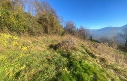 Cademario, Ticino 6936