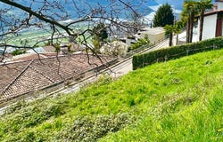 Cademario, Ticino 6936
