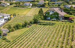 Vaud, Lutry, Vaud 1095