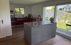 Eschenbach SG, St. Gallen (canton) 8733