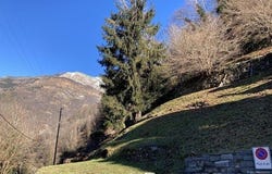 Vogorno, Ticino 6632