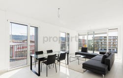 Buchs, Zürich (canton) 8107