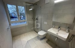 Wetzikon ZH, Zürich (canton) 8620