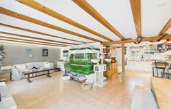 Däniken SO (Däniken), Solothurn (canton) 4658