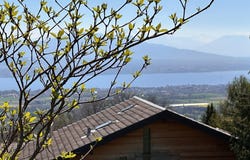 Arzier-Le Muids, Vaud 1273