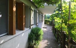 Bister, Valais 3983