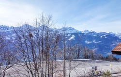 Schmockenstrasse, Beatenberg, Bern (canton) 3803