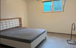 Contone, Ticino 6594