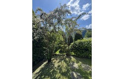 Via Cantonale, Melano, Ticino 6818