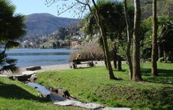 Caslano, Ticino 6987