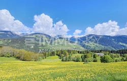 Obersaxen Meierhof, Grisons 7134