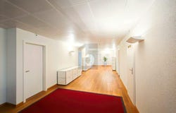 Auf Anfrage, Zürich, Zürich (canton) 8002