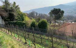 Zona Buee, Morbio Superiore, Ticino 6835