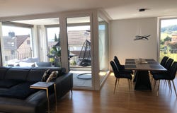 Hedingen, Zürich (canton) 8908