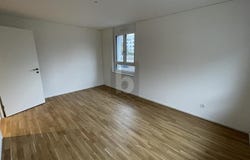 Wetzikon ZH, Zürich (canton) 8620