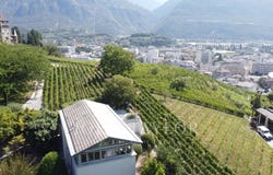 Sierre, Valais 3960