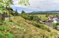 Egliswil, Aargau 5704