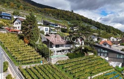 Tüscherz-Alfermée, Bern (canton) 2512