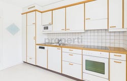 Langendorf, Solothurn (canton) 4513