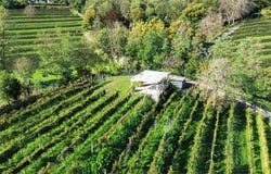Stabio, Ticino 6854