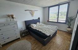 Zuchwil, Solothurn (canton) 4528