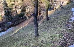 Vogorno, Ticino 6632
