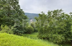 Cimadera, Ticino 6951
