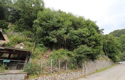 Bissone, Ticino 6816