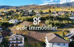 Mnt du Château, Sierre, Valais 3960