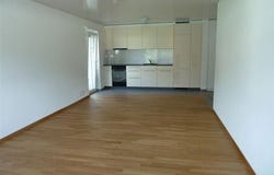 Hartolfingen 6, Bürglen/UR, Uri 6463
