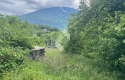 Adresse sur demande 1, Grimisuat, Valais 1971