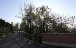 Villa Luganese, Ticino 6966