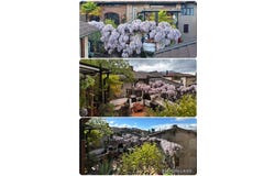 Tera d'Sott 31, Comano, Ticino 6949