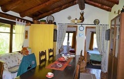Palagnedra, Ticino 6657